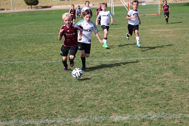 力击败了日 力击败了日