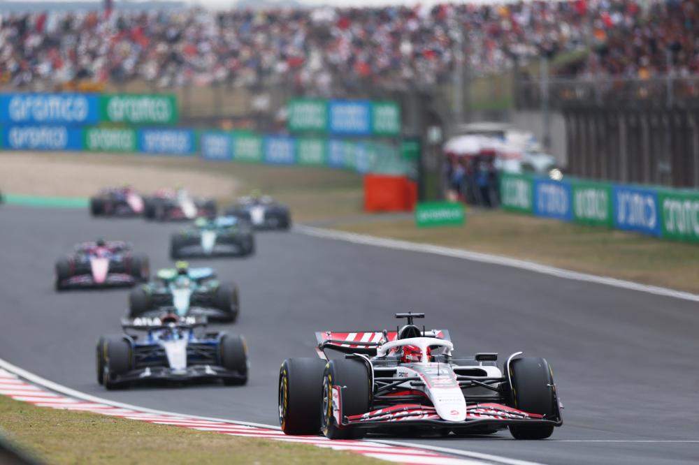 面对新西兰 面对新西兰