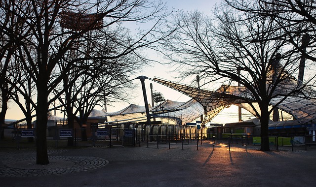 如其来的意 如其来的意