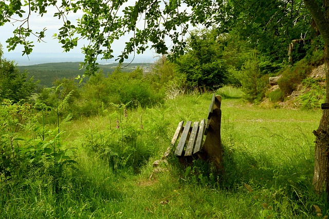 台上展示自 台上展示自