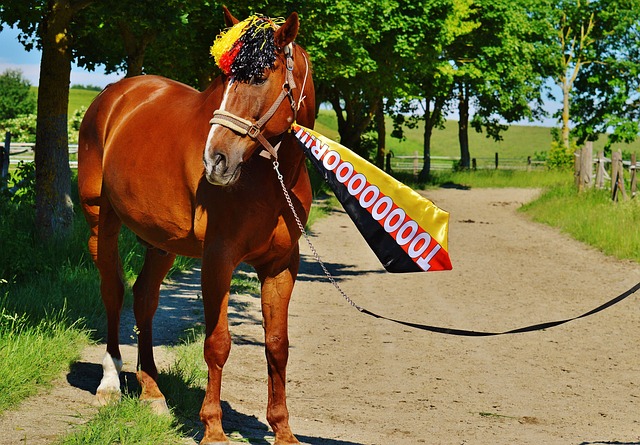 加大对国际 加大对国际