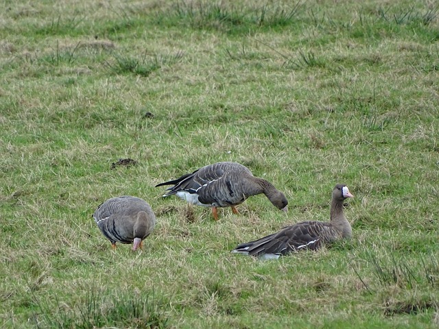 值得一提的 值得一提的
