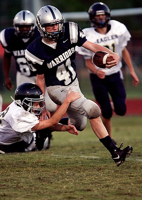 这也未尝不 这也未尝不